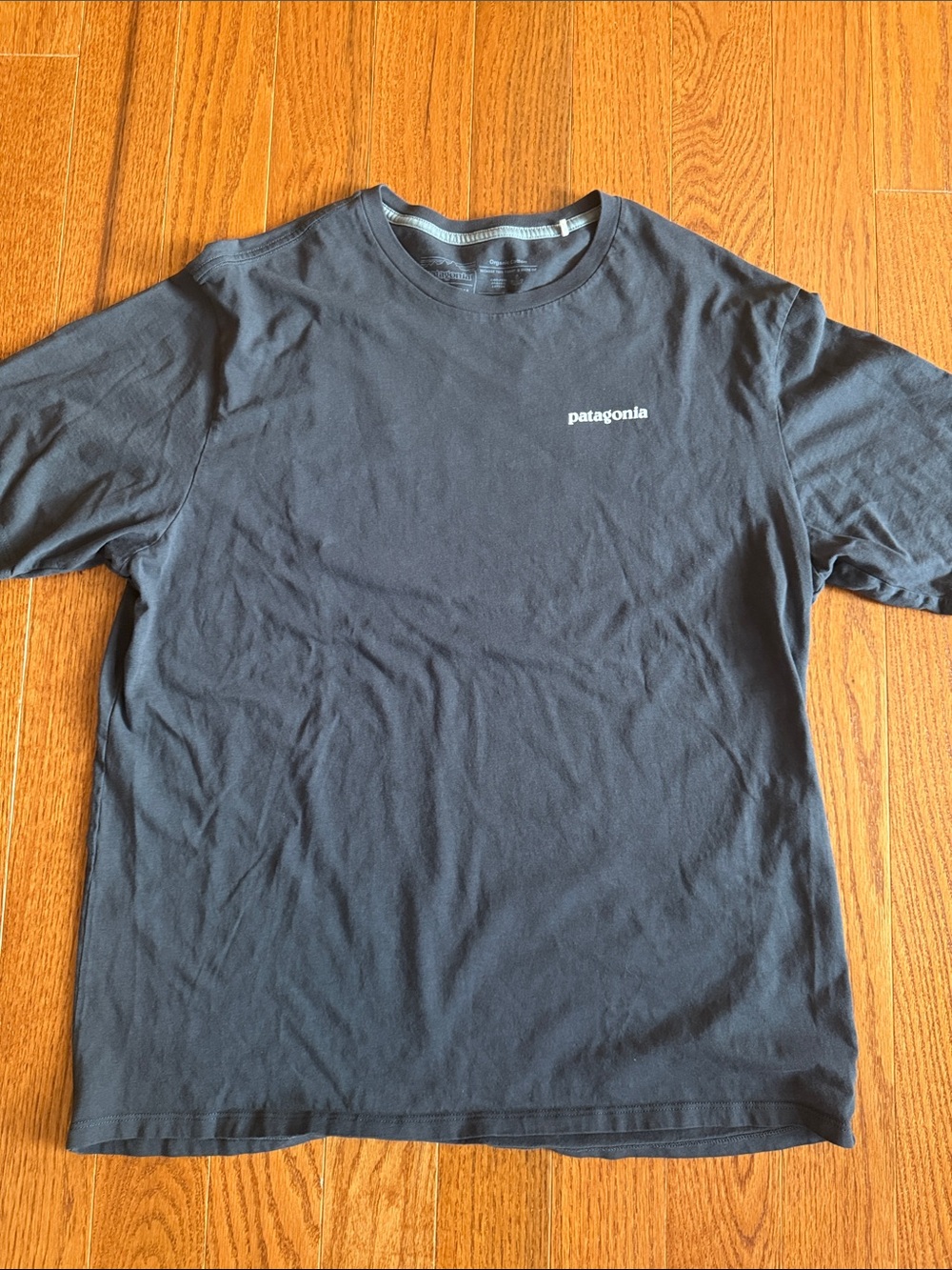 Patagonia Short Sleeve Crew T-Shirt in Grey with White Logo